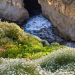 La Jolla Cove Cave