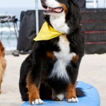 IMG_3396