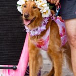 IMG_3434
