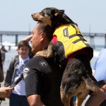 IMG_3750