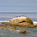 Bird Rock