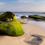 Mossy Rocks