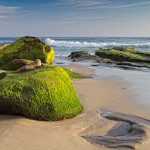 Neptune Beach