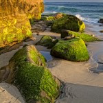 Neptune Beach