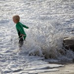 Pure Joy