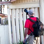 Me snapping a photo of macaw
