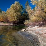Lake Hemet Shoreline