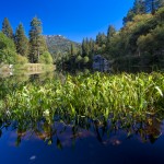 Lake Fulmor