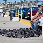 Bird Man on the Waterfront Bird Man on the Waterfront