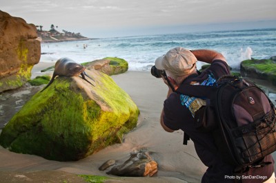 Seal_and_Chris