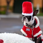 Christmas Is... For Looking Good! Christmas Is... For Looking Good!