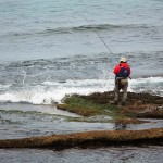 Morning Fishing