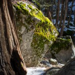 Boulder in Sun