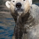 Takin' a Bath